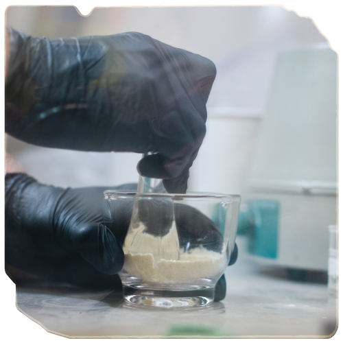 hands performing quality assurances tests on sulfur, image edited to have torn edges