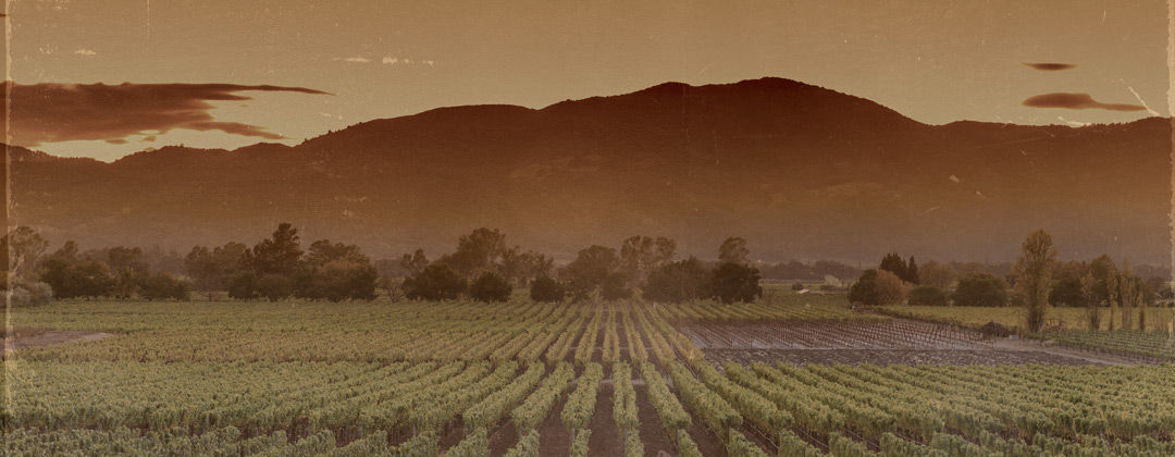 field in front of a mountain