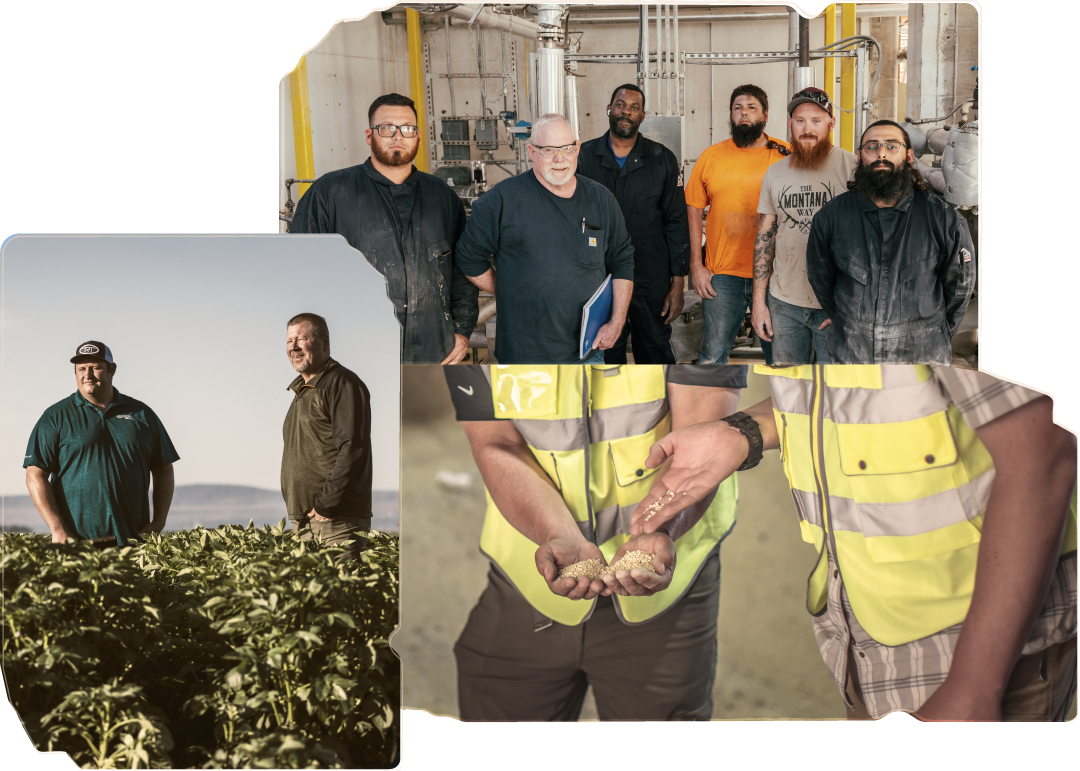 3 overlapping photos featuring SRX Sulfur Employees